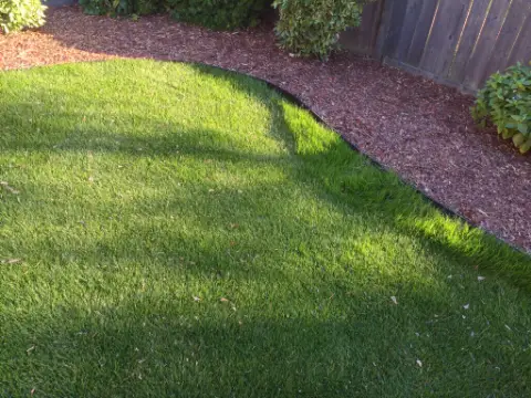 Freshly mowed lawn with a clean curved edge against a cedar-mulch bed.