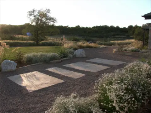 Water-wise garden with limestone steppers in decomposed granite and white blackfoot daisies.
